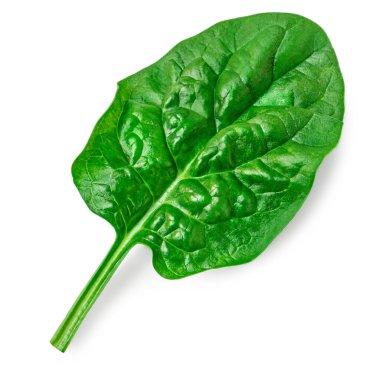 Beyaz arka planda ıspanak yaprakları izole. Taze ıspanaklı Macro. Üst Manzara. Düz yatıyordu.