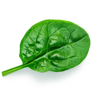 Beyaz arka planda izole edilmiş taze yeşil bebek ıspanak yaprakları yığını. Eıspanak. Yaklaş. Çeşitli Ispanaklı Makro