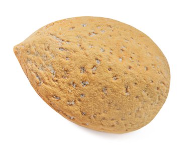 Beyaz sırtüstü izole edilmiş kabuklu tuzlu badem.