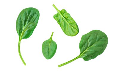 Bebek ıspanak yaprakları beyaz arka planda izole. Paket tasarımı için taze ıspanak. Düz yatıyordu. Desen