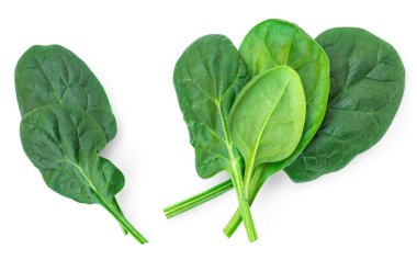 Bebek ıspanak yaprakları beyaz arka planda izole. Paket tasarım üst görünümü için taze ıspanak. Düz yatıyordu 