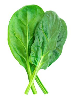 Pile of fresh green baby spinach leaves isolated on white background. Espinach Close up. Flat lay. Food concept.