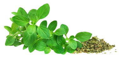 Marjoram izole edildi. Beyaz arka planda kuru baharatlı Oregano yaprakları. Taze, tatlı marjoram bitkisi.