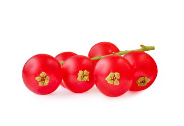 Frenk üzümü yalıtılmış. Beyaz arkaplanda frenk üzümü kırmızısı yakın plan.