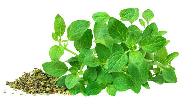 Dried Oregano herbs isolated on white background. Pile of chopped oregano or Majoram plant with fresh leaves close up.