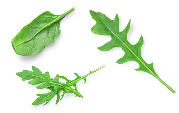 stock image Mediterranean organic herbs and spices element isolated on white background. Fresh spinach and rucola or arugula top view, flat la