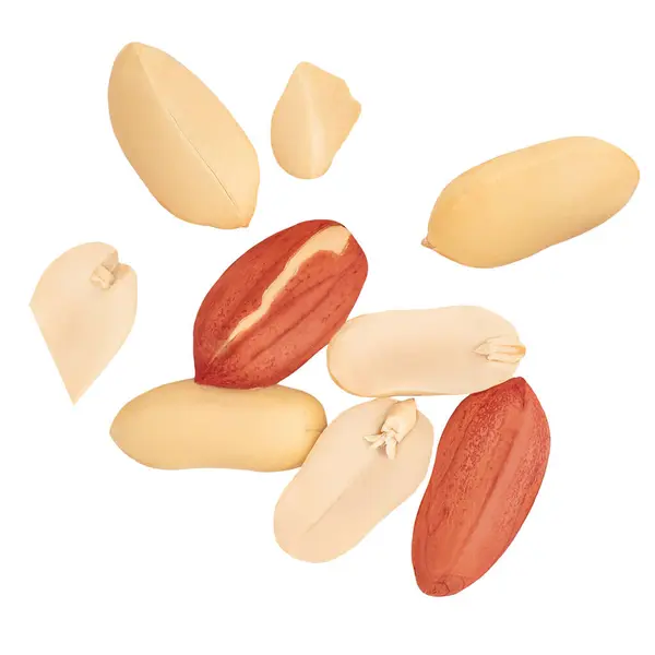 stock image Peanuts levitating in air on white background. Isolated Falling crushed  peanuts. Peanut explosion