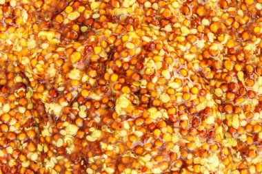 Tahıl soslu hardal sosu. Arka plan olarak sarı geleneksel Fransız Hardal sosu. Dijon hardalı dokusu.