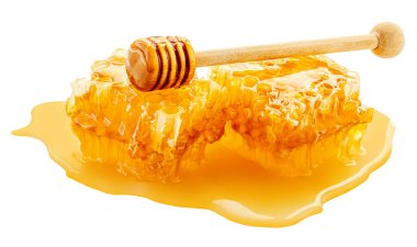 Beyaz üzerine izole edilmiş organik bal, dipper ve bal tarakları. Arı peteği - sağlıklı yemek malzemesi