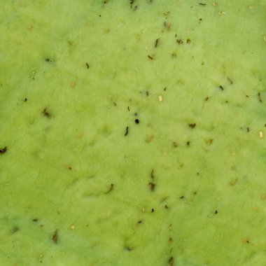 Yeşil pesto peyniri desenli arka plan. Fesleğen aromalı Hollanda yeşil peyniri duvar kağıdı.