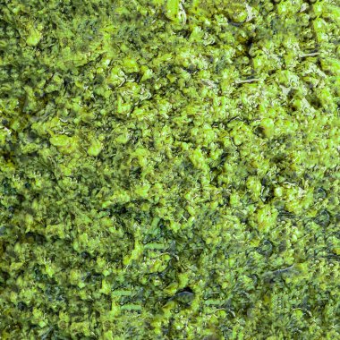 Beyaz zemin üzerinde bal pekmezi akan bal peteği. Honey Flat yatıyordu. Üst Manzara. Paket 