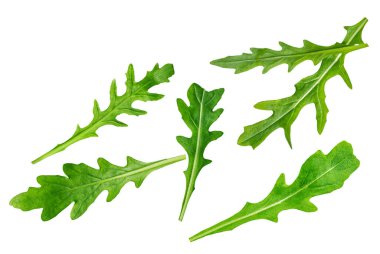 Düşen yeşil roka ya da beyaz arka planda izole edilmiş roka yaprağı. Rukola patlayıcı bırakıyor.