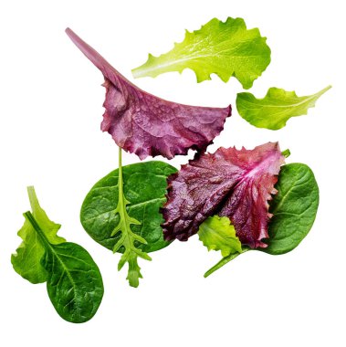 Uçan salata yaprakları beyaz arka planda izole. Taze salata patlaması roka, marul, ıspanak ve pancar yaprağı.