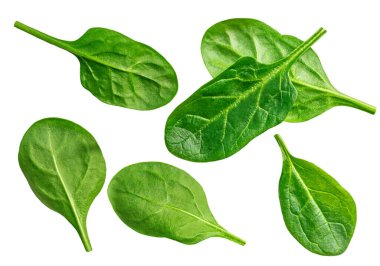 Beyaz zemin üzerinde bal pekmezi akan bal peteği. Honey Flat yatıyordu. Üst Manzara. Paket 