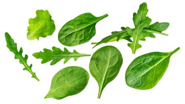 Arugula yaprakları ve bebek ıspanak yapraklarından oluşan yaratıcı bir düzen. Ispanak yaprağı düz yerde yatıyordu. Üst Manzara. Eıspanak salata malzemesi bırakır.