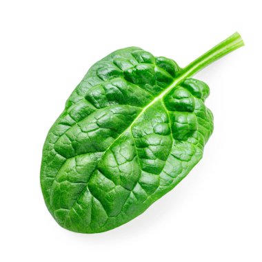 Uçan ıspanak yaprağı beyaz arka planda izole edilmiş. Bebek ıspanak yaprağı düz yerde yatıyordu. Üst Manzara. Eıspanak salata malzemesi bırakır. Paket tasarım elementi