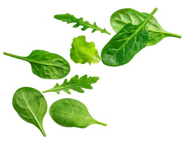 Uçan ıspanak yaprakları beyaz arka planda izole. Bebek ıspanak yaprağı ve roka düzlüğü. Üst Manzara. Eıspanak yaprakları patlar