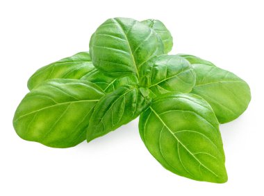 Basil beyaza izole edilmiş. Tatlı fesleğen, fesleğen ve bitkisel besin. Paket tasarım ögesi