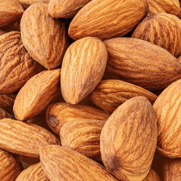 Badem fıstıklı arka plan. Badem fıstığından yapılmış yaratıcı bir düzen. Doku. Düz yatıyordu. Yemek konsepti. Badem deseni 