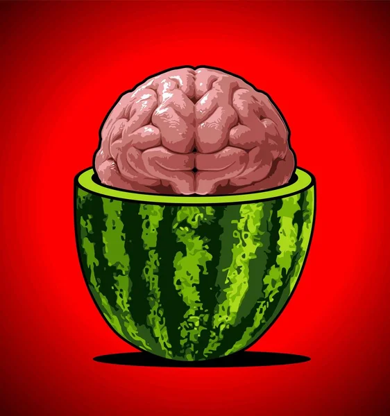 Vattenmelon Fyller Den Mänskliga Hjärnan — Stock vektor