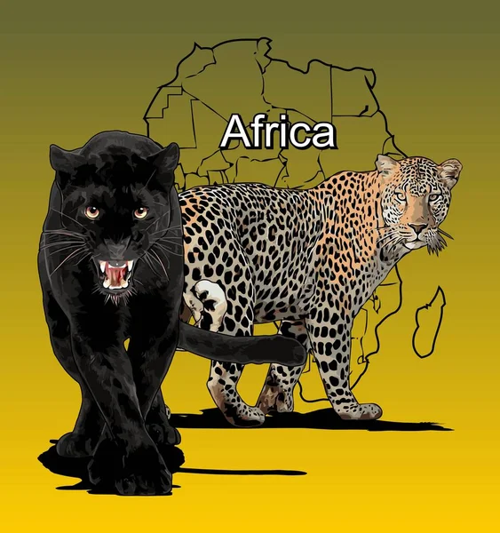 非洲野生动物病媒模板 — 图库矢量图片