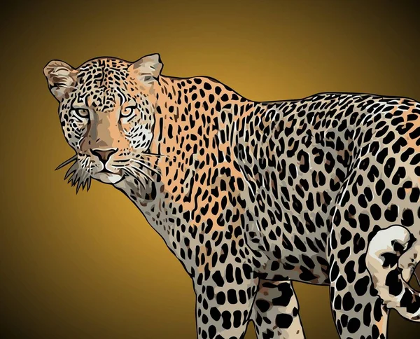 Леопардовый Векторный Шаблон — стоковый вектор