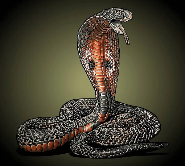 Kobra Kígyó Oldalnézet Vektor Sablon — Stock Vector