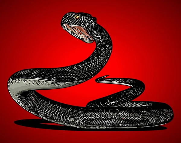 Serpent Noir Qui Attaquera Modèle Vectoriel — Image vectorielle