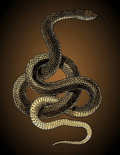 Ядовитая Змея Обернутая Вокруг Векторного Шаблона — стоковый вектор