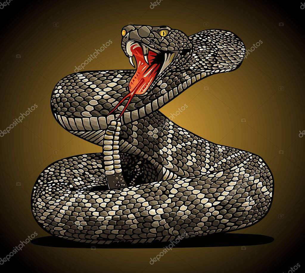 Rattlesnake is gaping vector template.