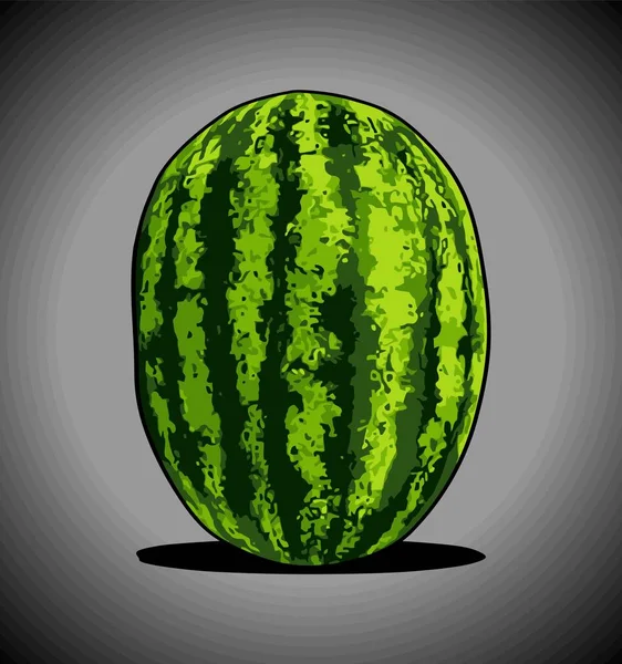 Watermelon Fruit Vector Template Green Background — Stock Vector