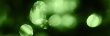 Blurred lights, green background, banner texture. Abstract bokeh with soft light header. Wide screen wallpaper. Panoramic web banner with copy space for design