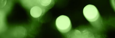 Blurred lights, green background, banner texture. Abstract bokeh with soft light header. Wide screen wallpaper. Panoramic web banner with copy space for design