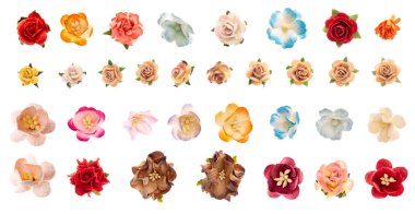 Çeşitli renklerde ve stillerde suni çiçek koleksiyonu, stüdyo çekimi. Albüm defteri için kağıt çiçekler, beyaz arkaplanda izole edilmiş.