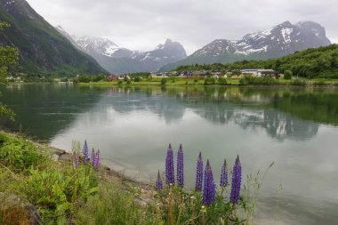 Norveç 'in Aandalsnes kasabasındaki Rauma nehrinde sel