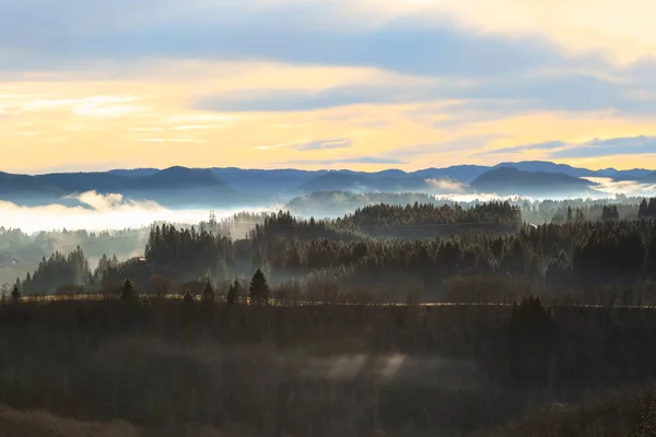 Foggy sunset in November in the village Bratsberg located in Trondheim municipality, Norway