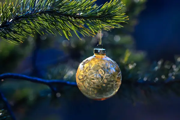 森林里松树枝上的圣诞黄色玩具 蓝色背景 — 图库照片