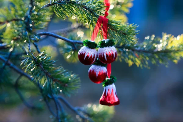 Ormandaki çam dalında Noel sarı oyuncağı, mavi arka plan.