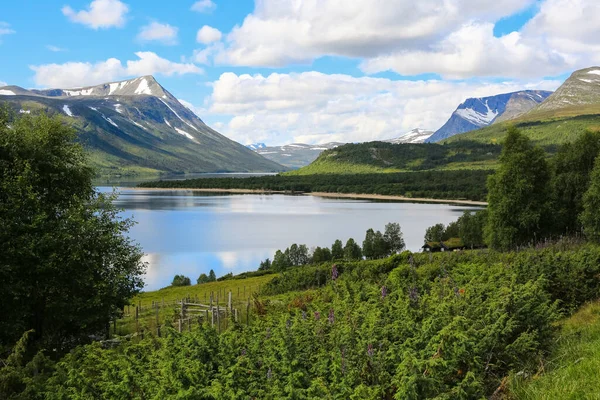 Yazın Gjevilvatnet Gölü 'nde, Trollheimen Ulusal Parkı' ndaki dağların manzarası.