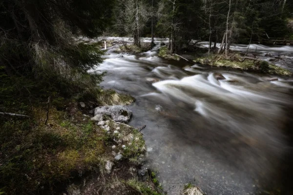Inondazioni Primaverili Nella Foresta Vicino Lago Selbu Situato Troendelag Norvegia — Foto Stock
