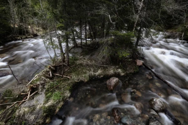 Jarní Povodeň Lese Jezera Selbu Troendelagu Norsko — Stock fotografie
