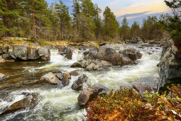 Jarní Povodeň Řeky Inna Oblasti Innset Střední Části Norska — Stock fotografie