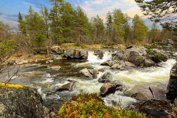 Jarní Povodeň Řeky Inna Oblasti Innset Střední Části Norska — Stock fotografie