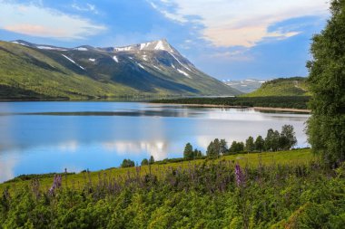 Gjevillvatnet, Norveç 'in Troendelag ilinin Oppdal ilçesine bağlı bir göldür.
