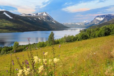 Gjevillvatnet, Norveç 'in Troendelag ilinin Oppdal ilçesine bağlı bir göldür.