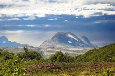 Norveç 'in Trollheimen bölgesinde doğa ve bitki örtüsü