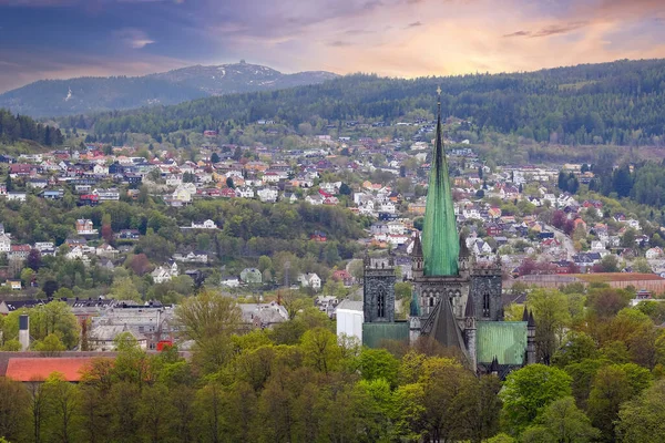 Våren Trondheim Över Katedralen Nidarosdomen Solnedgången — Stockfoto