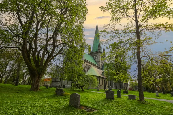 Trondheim 'da bahar, gün batımında Nidarosdomen Katedrali manzarası