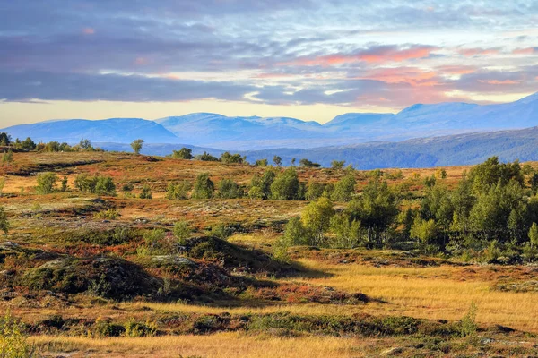 Altweibersommer Nationalpark Forollhogna Zentralen Teil Norwegens — Stockfoto