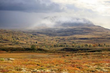 Norveç 'in orta kesimindeki Forollhogna Ulusal Parkı' nda bataklık ve dağlar.